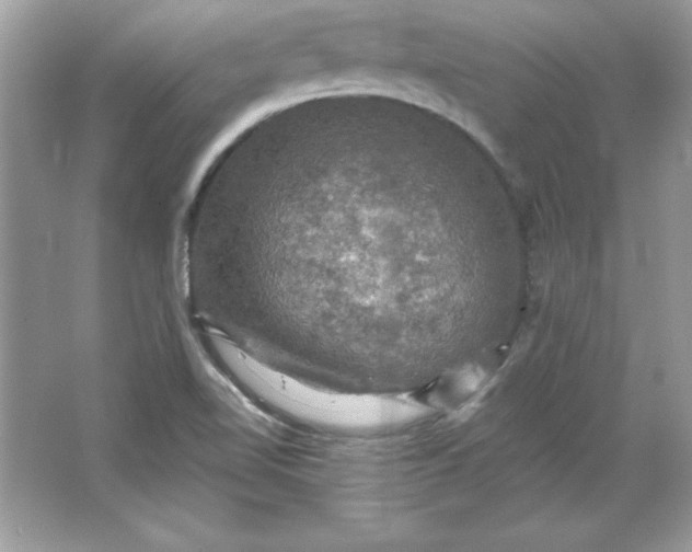 X0000066011510200603171452