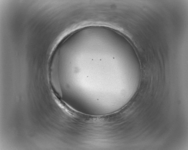 X0000066011511200603171452