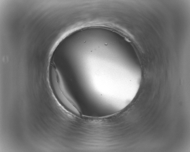 X0000066011512200603171452