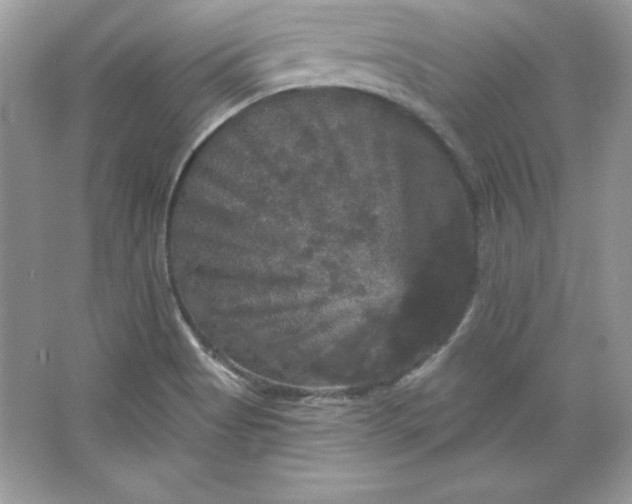 X0000066011513200603171452