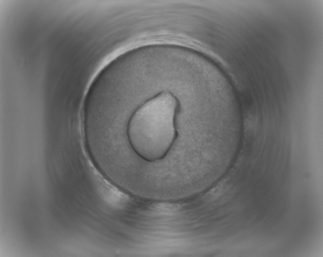 X0000066011514200603171452