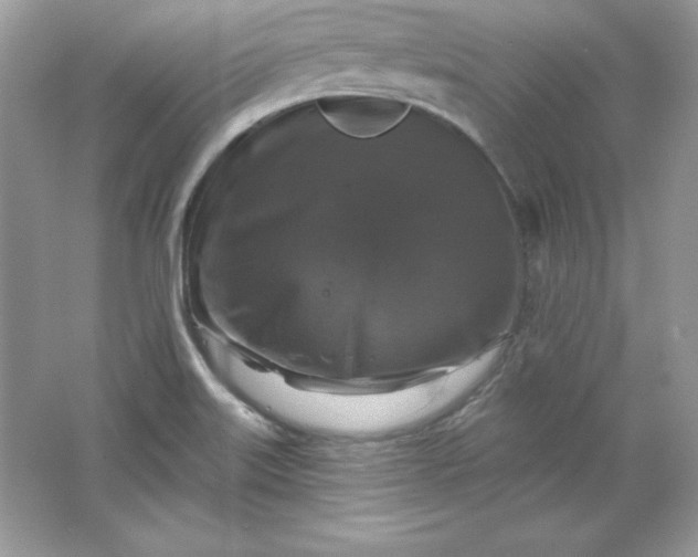 X0000066011515200603171452