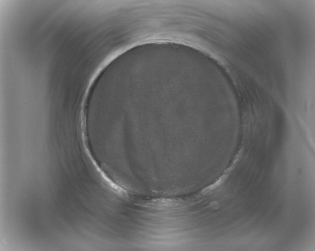 X0000066011517200603171452