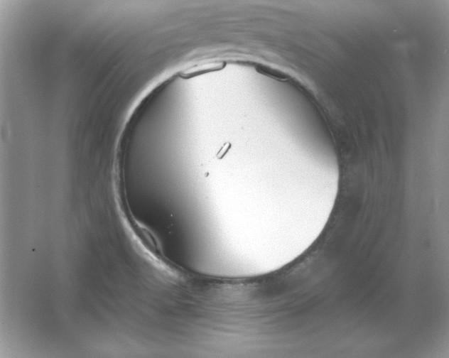 X0000066011518200603171452