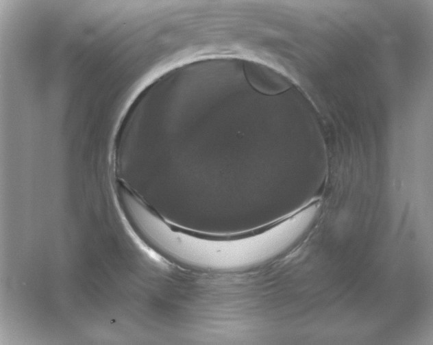 X0000066011519200603171452