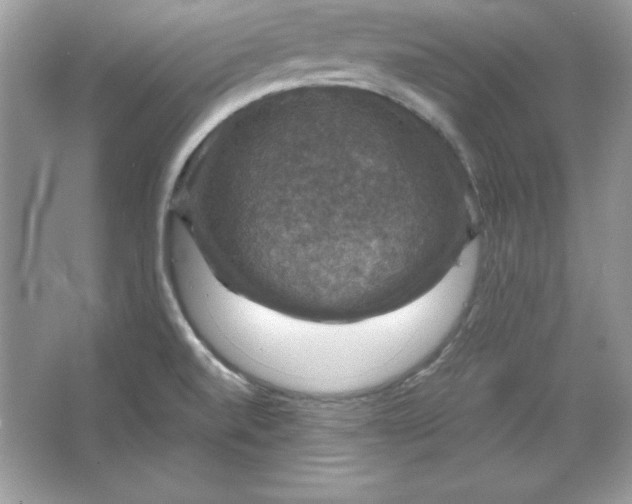 X0000066011520200603171452