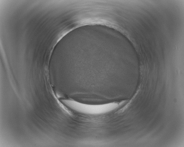 X0000066011521200603171452