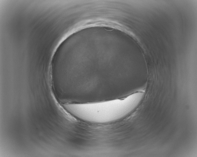 X0000066011522200603171452