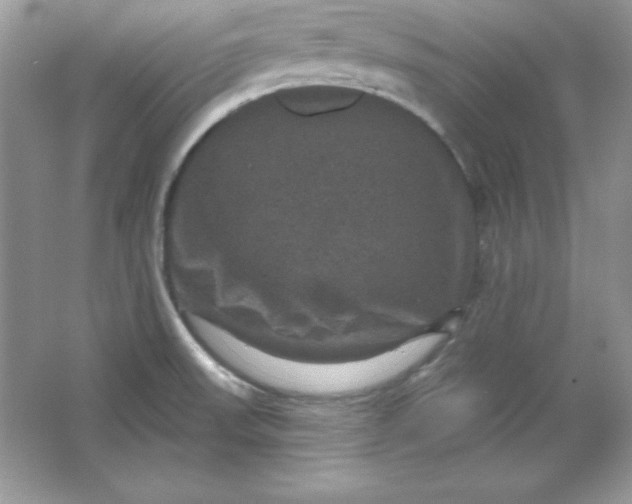 X0000066011523200603171452