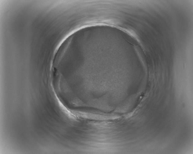 X0000066011524200603171452