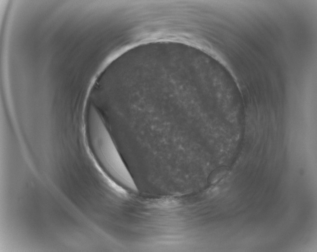 X0000066011525200603171452