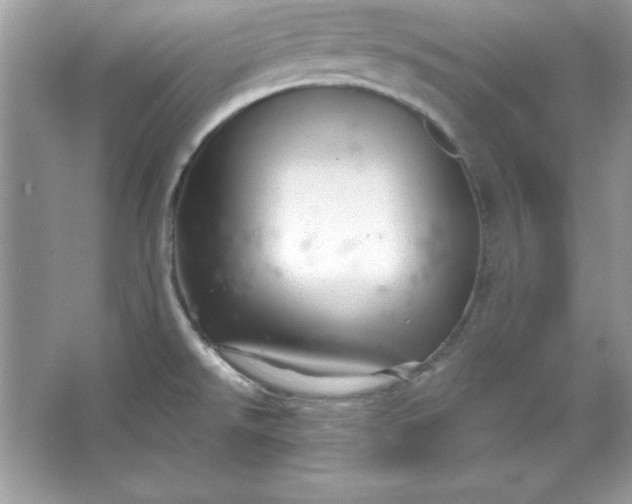 X0000066011526200603171452