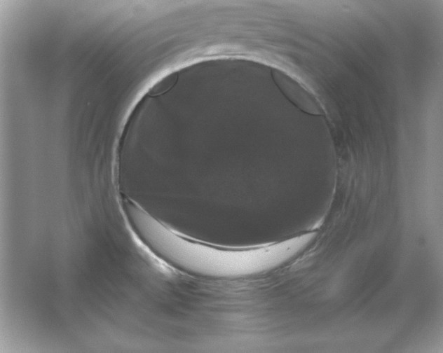 X0000066011527200603171452