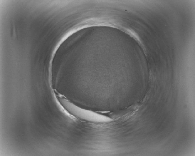 X0000066011528200603171452