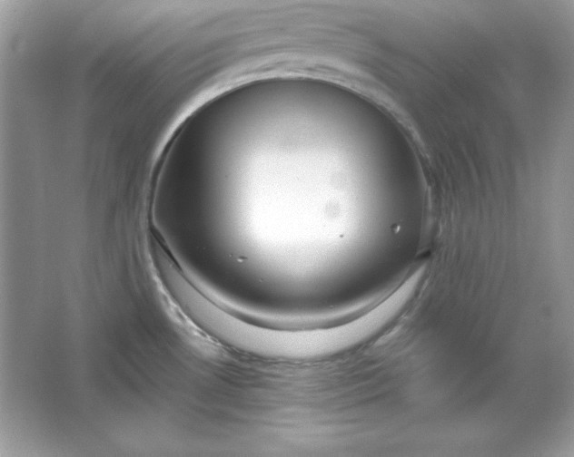 X0000066011530200603171453