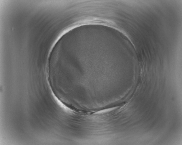 X0000066011531200603171453