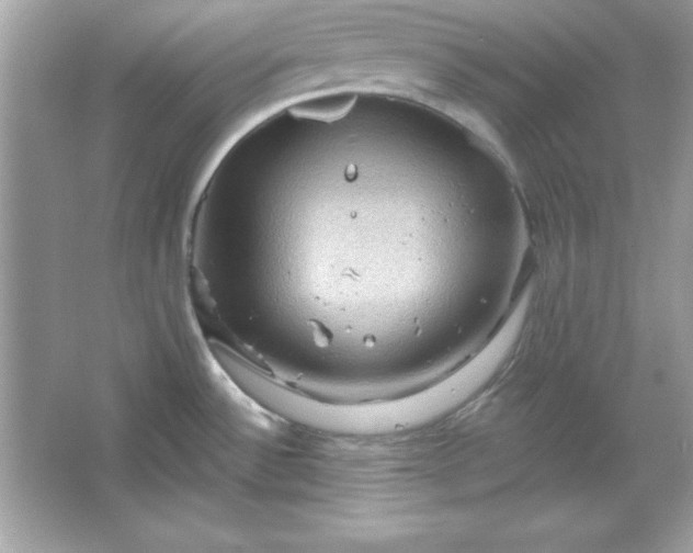 X0000066011532200603171453