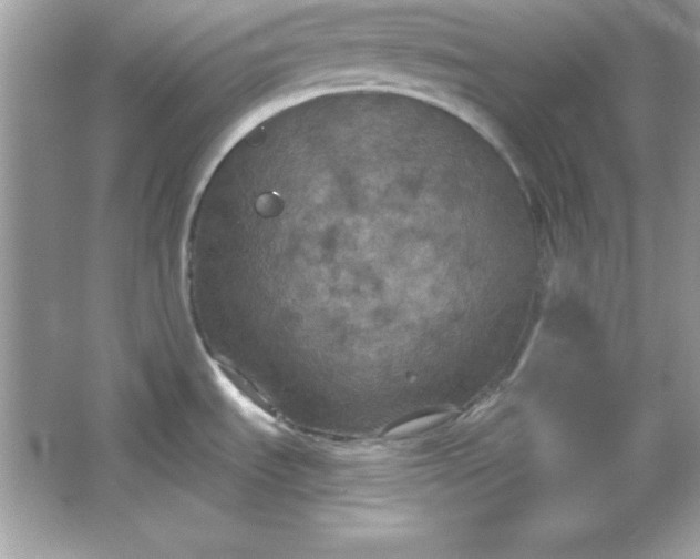 X0000066011535200603171453