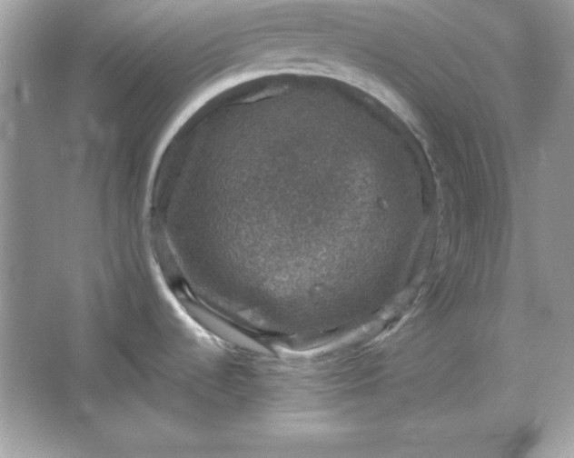 X0000066011536200603171453