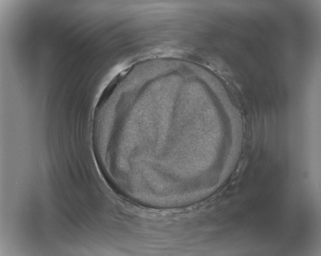 X0000066010003200603242109