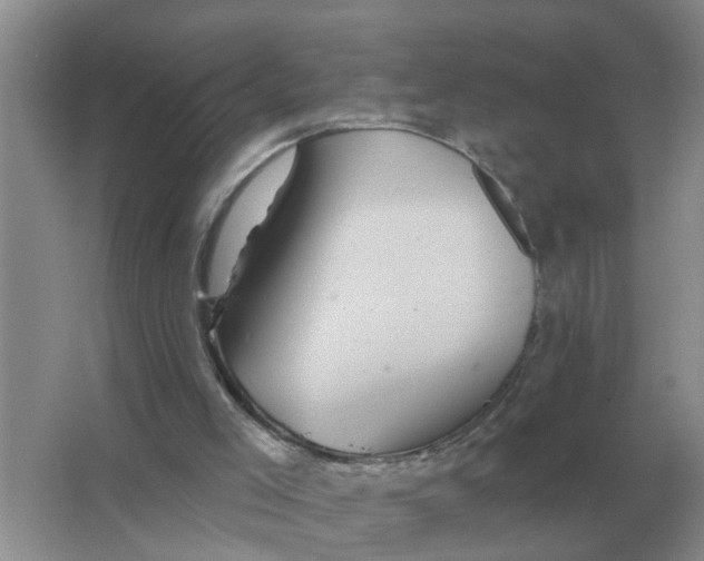 X0000066010005200603242109