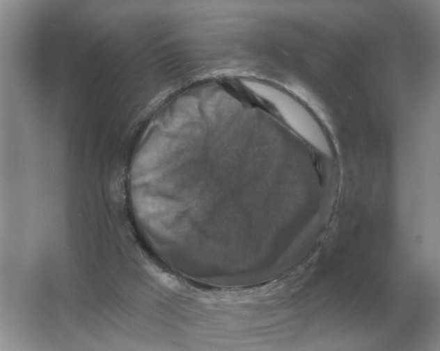 X0000066010009200603242109