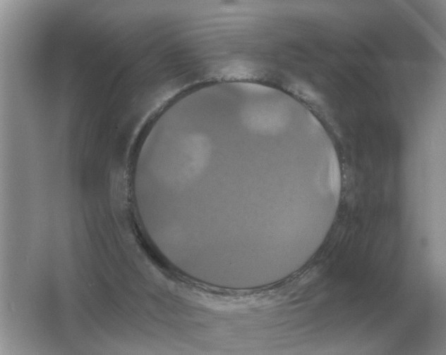 X0000066010012200603242109