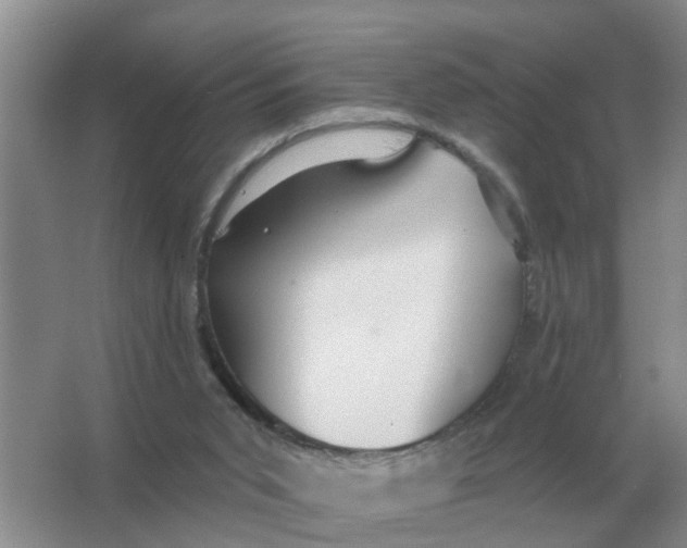 X0000066010015200603242109