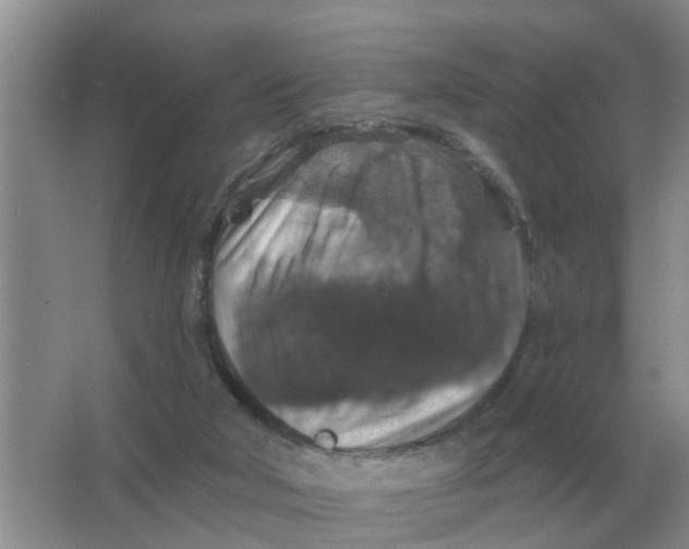 X0000066010018200603242109