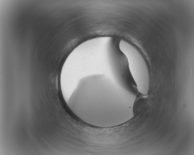 X0000066010019200603242109