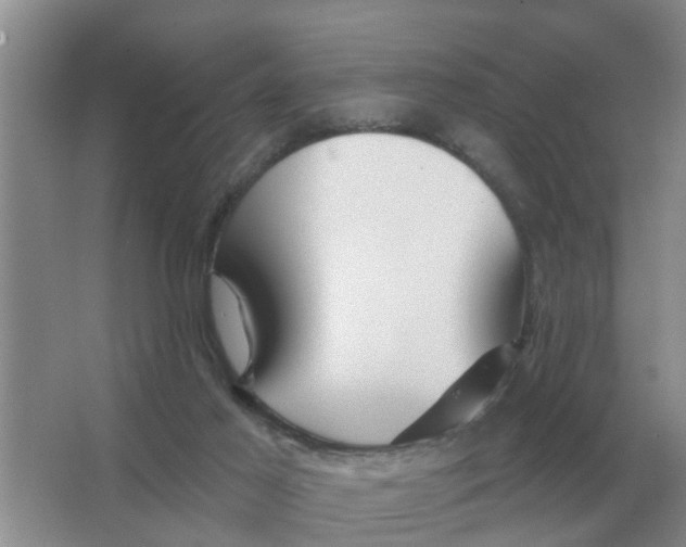 X0000066010021200603242109