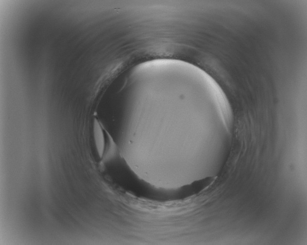 X0000066010023200603242109