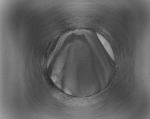 X0000066010029200603242109