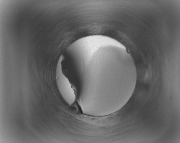 X0000066010035200603242109