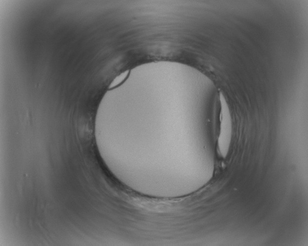 X0000066010040200603242109