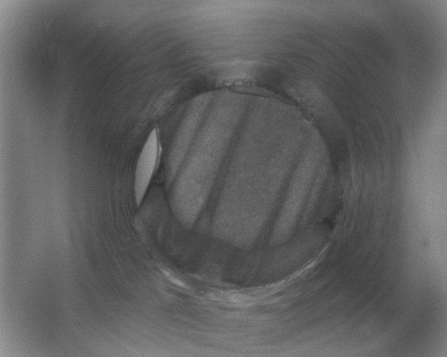 X0000066010041200603242109