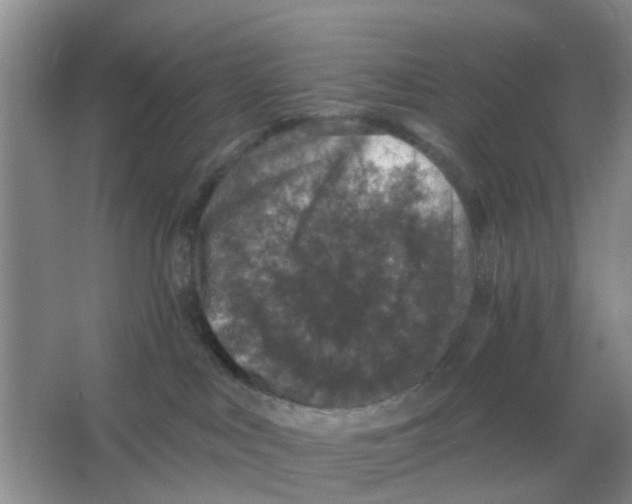 X0000066010043200603242109