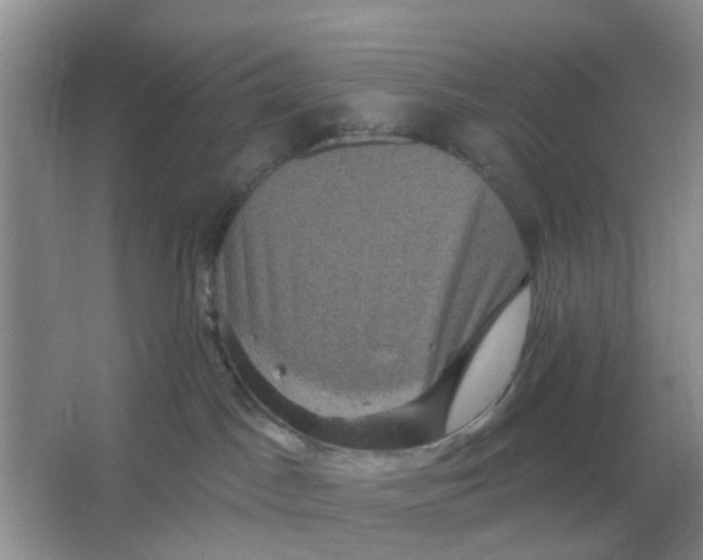 X0000066010045200603242109