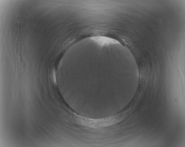 X0000066010046200603242109