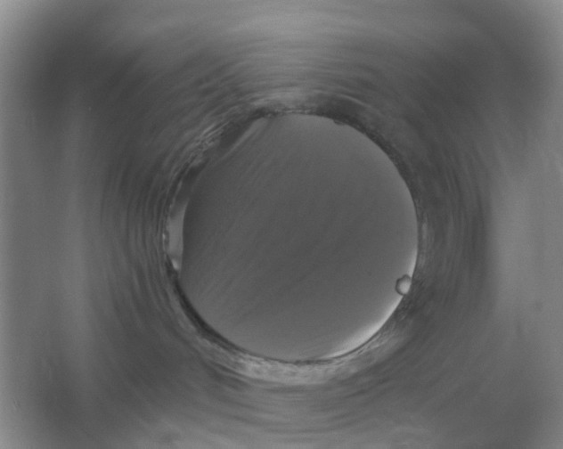 X0000066010048200603242109
