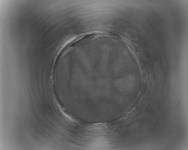 X0000066010050200603242108