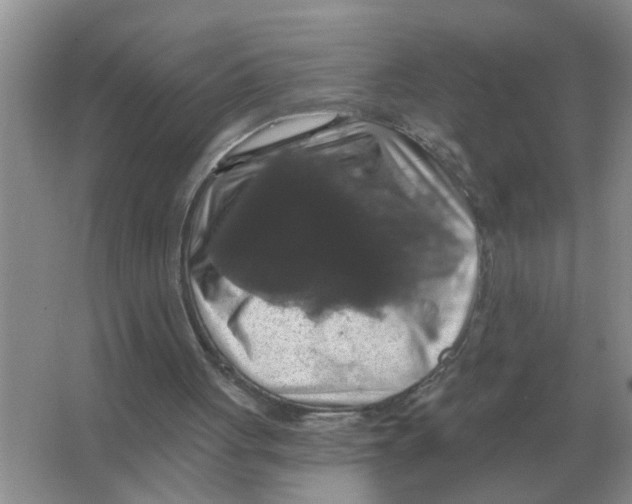 X0000066010051200603242108