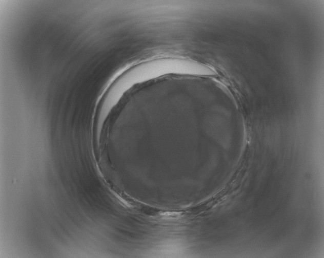 X0000066010052200603242108