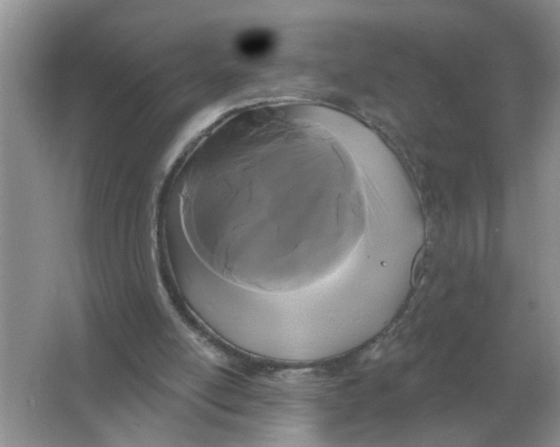 X0000066010054200603242108