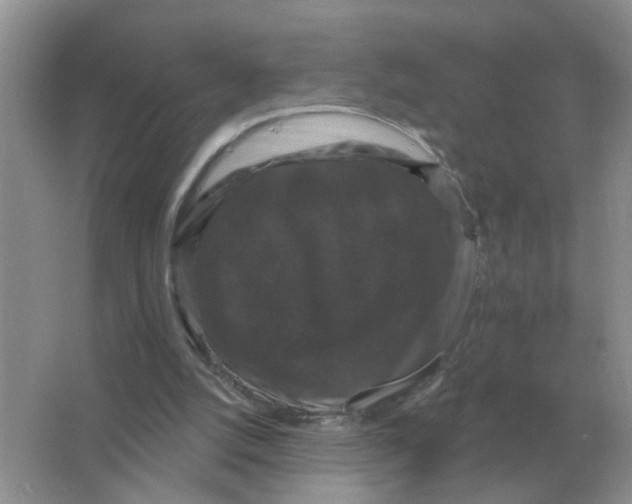 X0000066010056200603242108