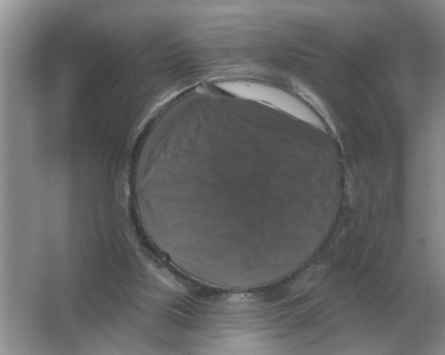 X0000066010059200603242108