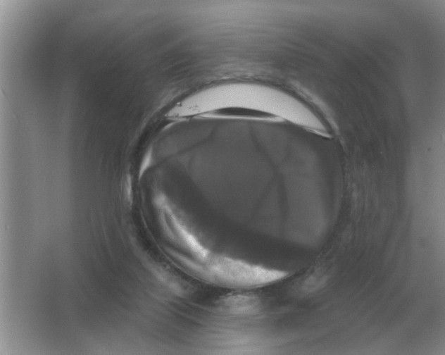 X0000066010067200603242108