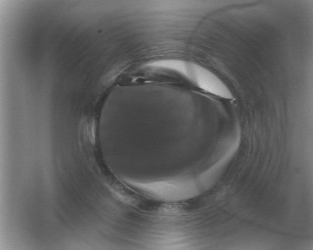 X0000066010076200603242108