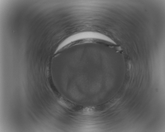 X0000066010080200603242108