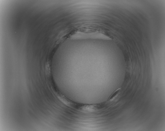 X0000066010086200603242109